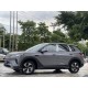 BYD Sea lion 05 Grey